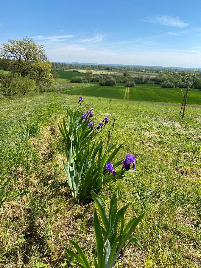 Bed and Breakfast La Vignerie Boisse  Экстерьер фото